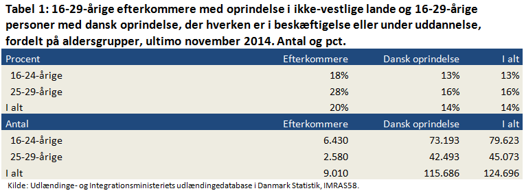 Tabel 1: 16-29-årige efterkommere med oprindelige i ikke-vestlige lande og 16-29-årige personer med dansk oprindelse, der hverken er i beskæftigelse eller under uddannelse, fordelt på aldersgrupper, ultimo november 2014, antal procent